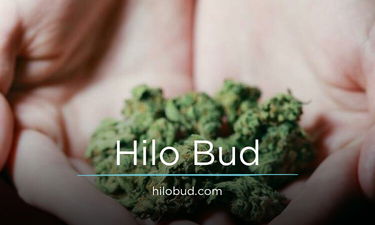 HiloBud.com - Creative brandable domain for sale